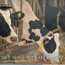 여에덴 비즈중앙