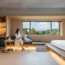 스테이펫_호텔 이미지