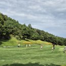 KB금융 스타챔피언십 KLPGA 갤러리 후기