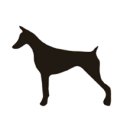 임현곤 반려견 교육센터 이미지