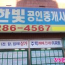 사파동286 이미지