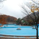 신흥수영장 이미지