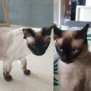 유어홈즈공인중개사사무소 이미지