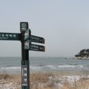 4월11일(일) = 계족산을 학암포~신두리 해안사구 트레킹으로~(수정) 이미지