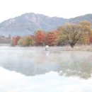 주천