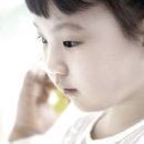 은행나무사진관