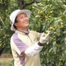 자연속에영농조합법인 이미지