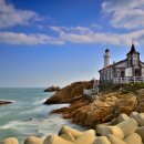 지어드림 이미지