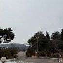 [자격증] 비전공자 정보처리기사 정처기 25년 1회 필기 후기