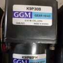 GGM K9P30B / K9IP60FH 인덕션 모터 삼상 220V 60W 중고 이미지