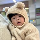 아기곰약국 네이버블로그