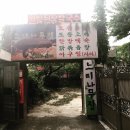 면목동 느티나무 이미지