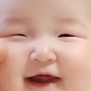 포동이 이미지