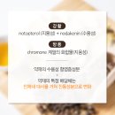 김제한의원 이미지
