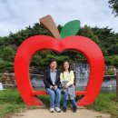 웃음꽃목장 이미지