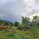 월계1공원 이미지