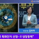 동안성개발