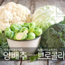 서부경건강이야기