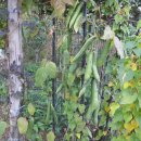 놀부농장 이미지