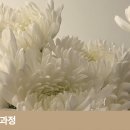 광산구-052 이미지