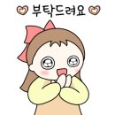 마산고운초등학교 이미지