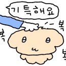 효성목욕탕 이미지