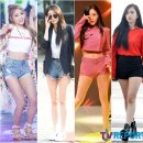진리 TV리포트