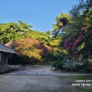 배동가옥
