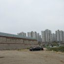 아메리카나 | 안성 맛집! 안성 아메리카나 추천! 주말 오픈런 후기!