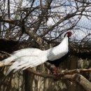 은곡농장 이미지