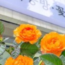 공방꽃집 이미지