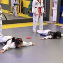 경희 진흥 태권도장 이미지