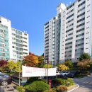 장성 공인중개사사무소 이미지