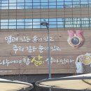 판교모아공인중개사사무소 이미지