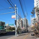 미스터보쌈5379부산화명점 이미지