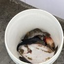 복성수산 이미지