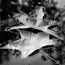 아름다운 여행 이미지