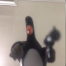 스타트레블 이미지