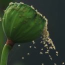 한국 카메라 박물관 이미지