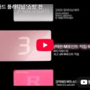 내가 아는 유일한 독일어 노래 가사 해석 (현대카드 광고음악 / Alles Neu / Peter Fox)