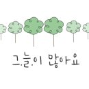 청석들캠핑장 이미지