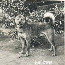 순종과 순혈 2 이미지