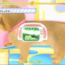 멍냥동물병원 이미지