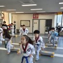 국가대표 경호 태권도장 이미지