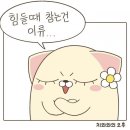 백년국수 이미지