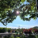 큰숲제빵소 이미지