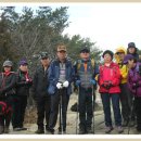 양지-3135 이미지