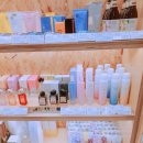 더샘제주점