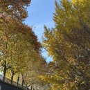 이목사거리 | 2024 봤으니까 이젠 궁금할 수도 있는 2025 문화 일기