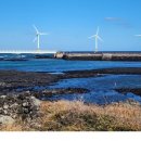 오션블리스 1 이미지